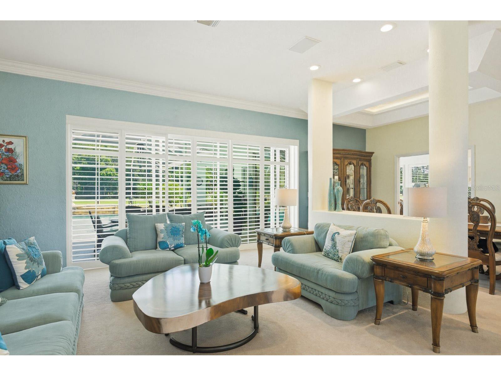 3343 Crescent Oaks Boulevard Tarpon Springs FL 34688 TB8498693 image12