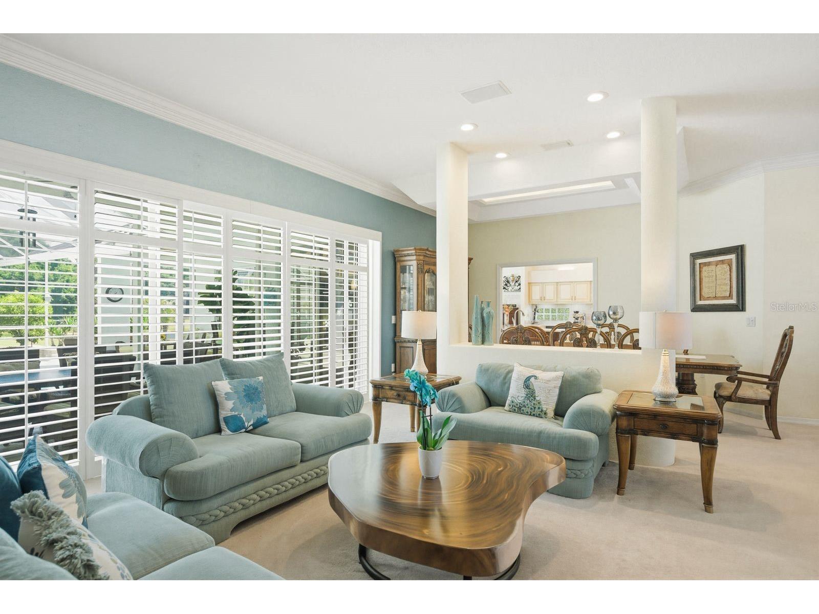 3343 Crescent Oaks Boulevard Tarpon Springs FL 34688 TB8498693 image13