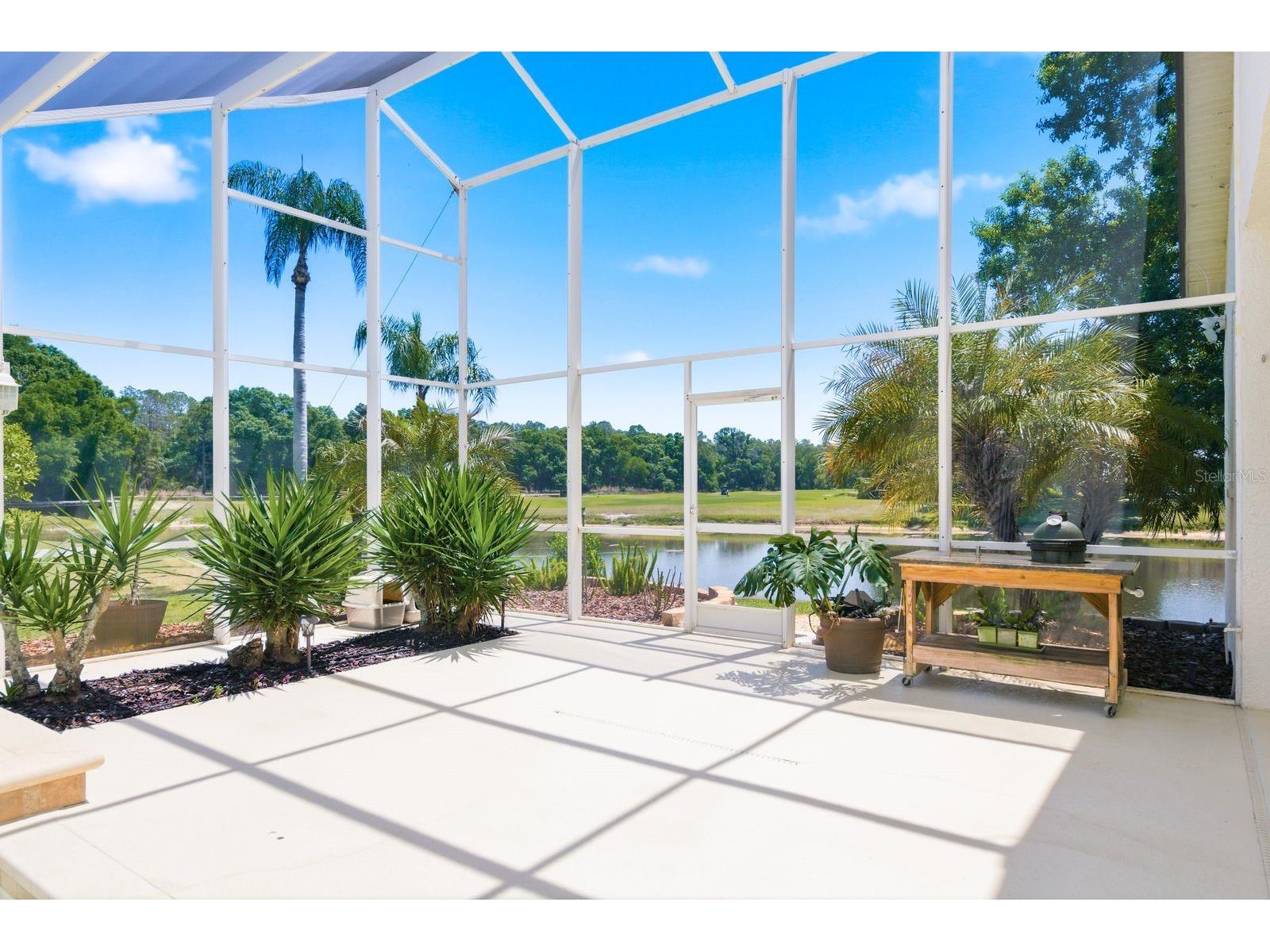 3343 Crescent Oaks Boulevard Tarpon Springs FL 34688 TB8498693 image53