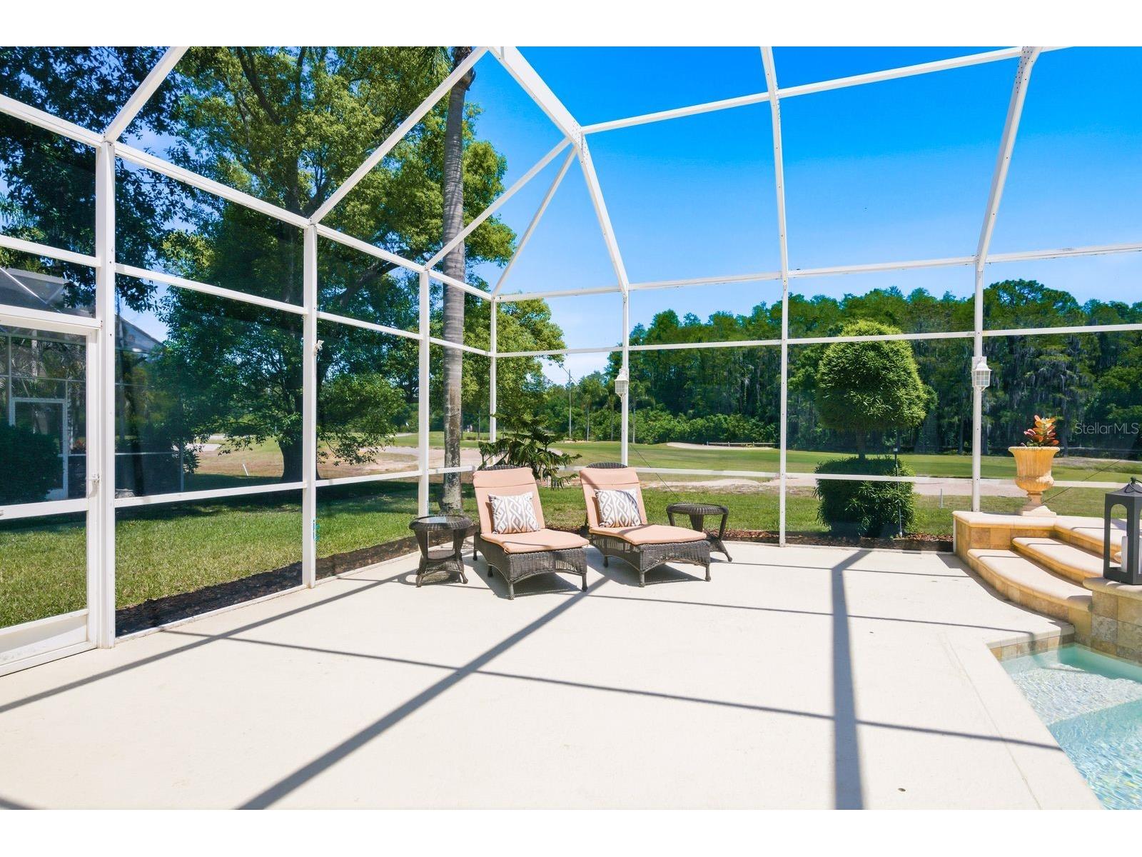 3343 Crescent Oaks Boulevard Tarpon Springs FL 34688 TB8498693 image58