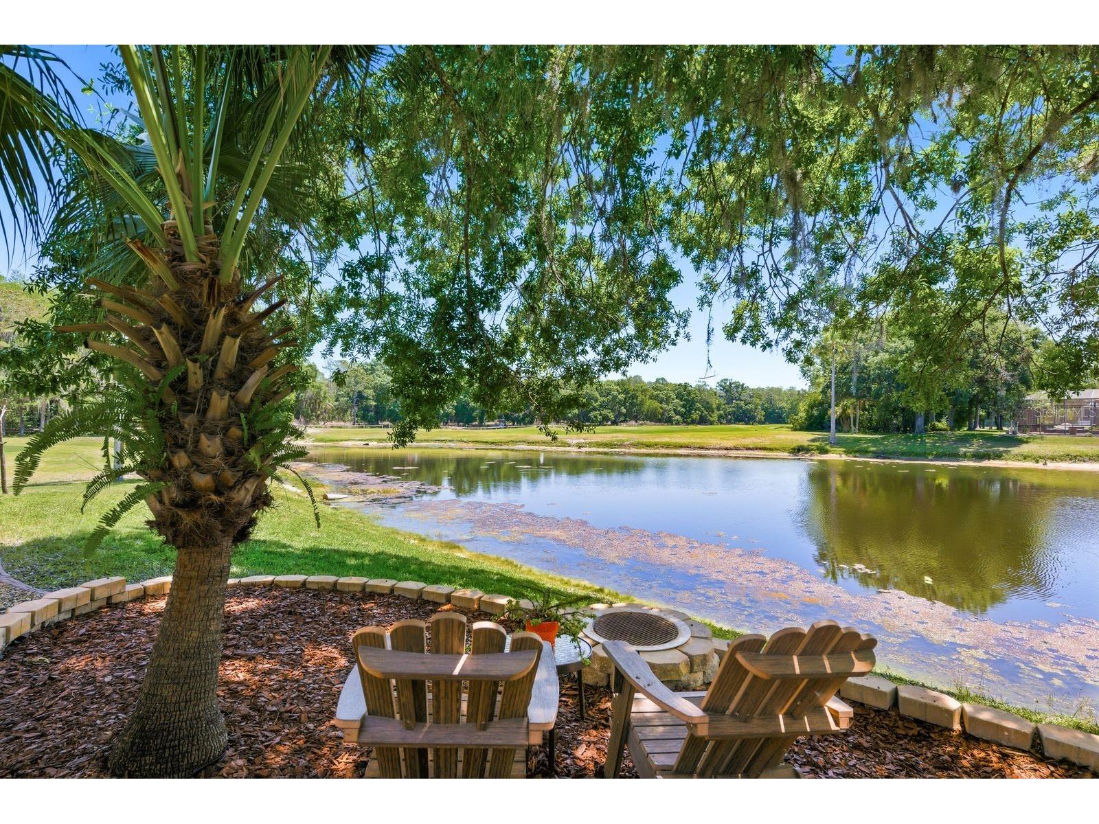 3343 Crescent Oaks Boulevard Tarpon Springs FL 34688 TB8498693 image60