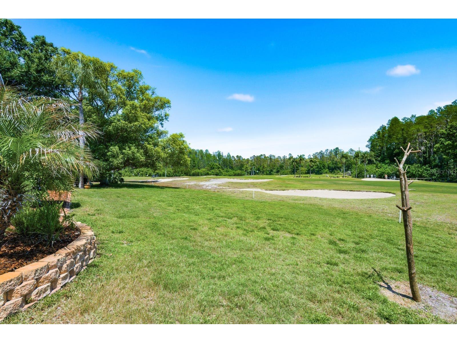 3343 Crescent Oaks Boulevard Tarpon Springs FL 34688 TB8498693 image61
