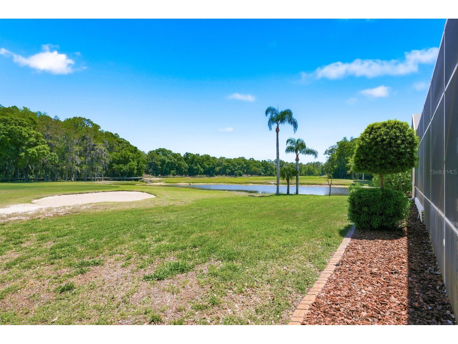 3343 Crescent Oaks Boulevard Tarpon Springs FL 34688 TB8498693 image65