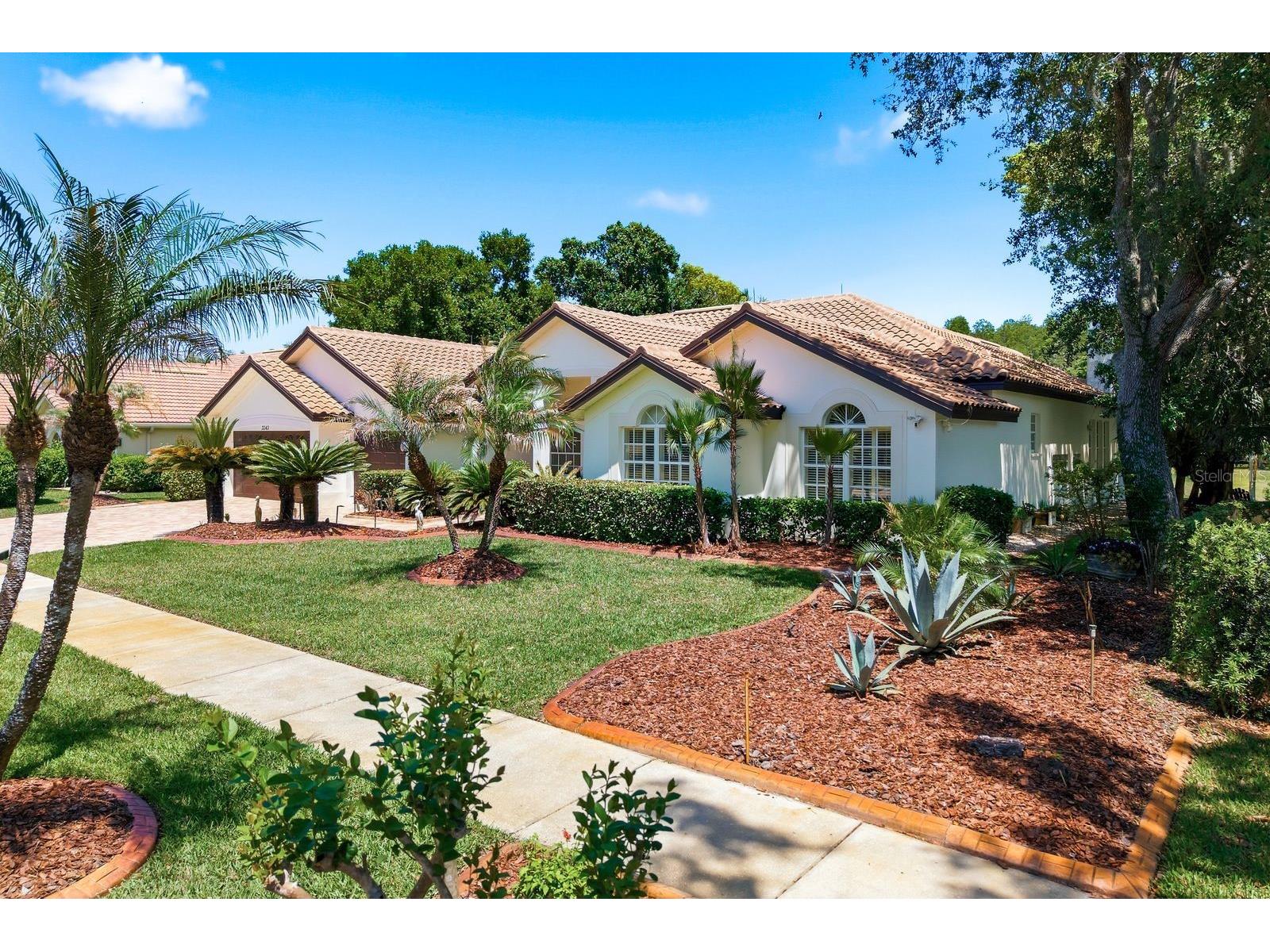 3343 Crescent Oaks Boulevard Tarpon Springs FL 34688 TB8498693 image66