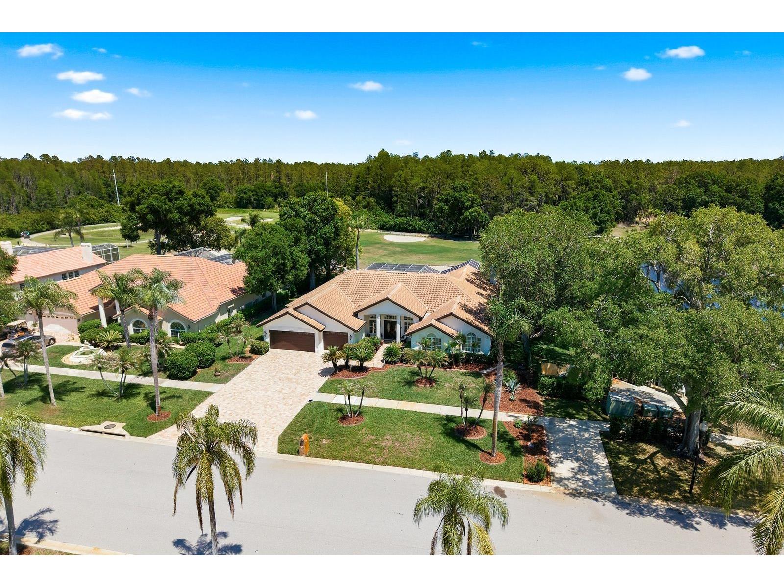3343 Crescent Oaks Boulevard Tarpon Springs FL 34688 TB8498693 image69