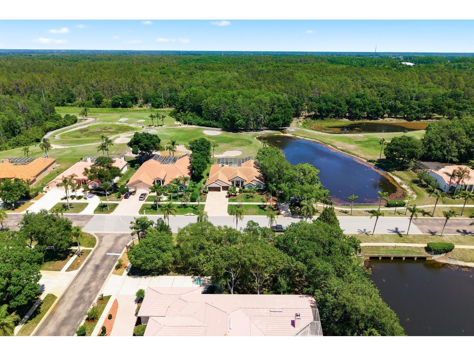 3343 Crescent Oaks Boulevard Tarpon Springs FL 34688 TB8498693 image70