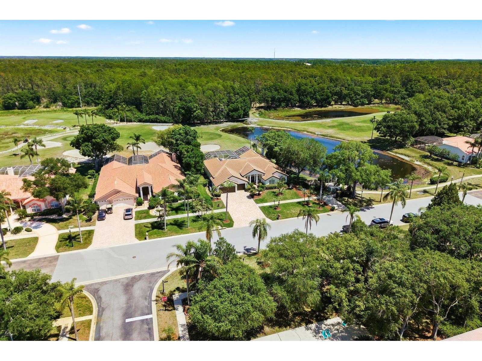 3343 Crescent Oaks Boulevard Tarpon Springs FL 34688 TB8498693 image71