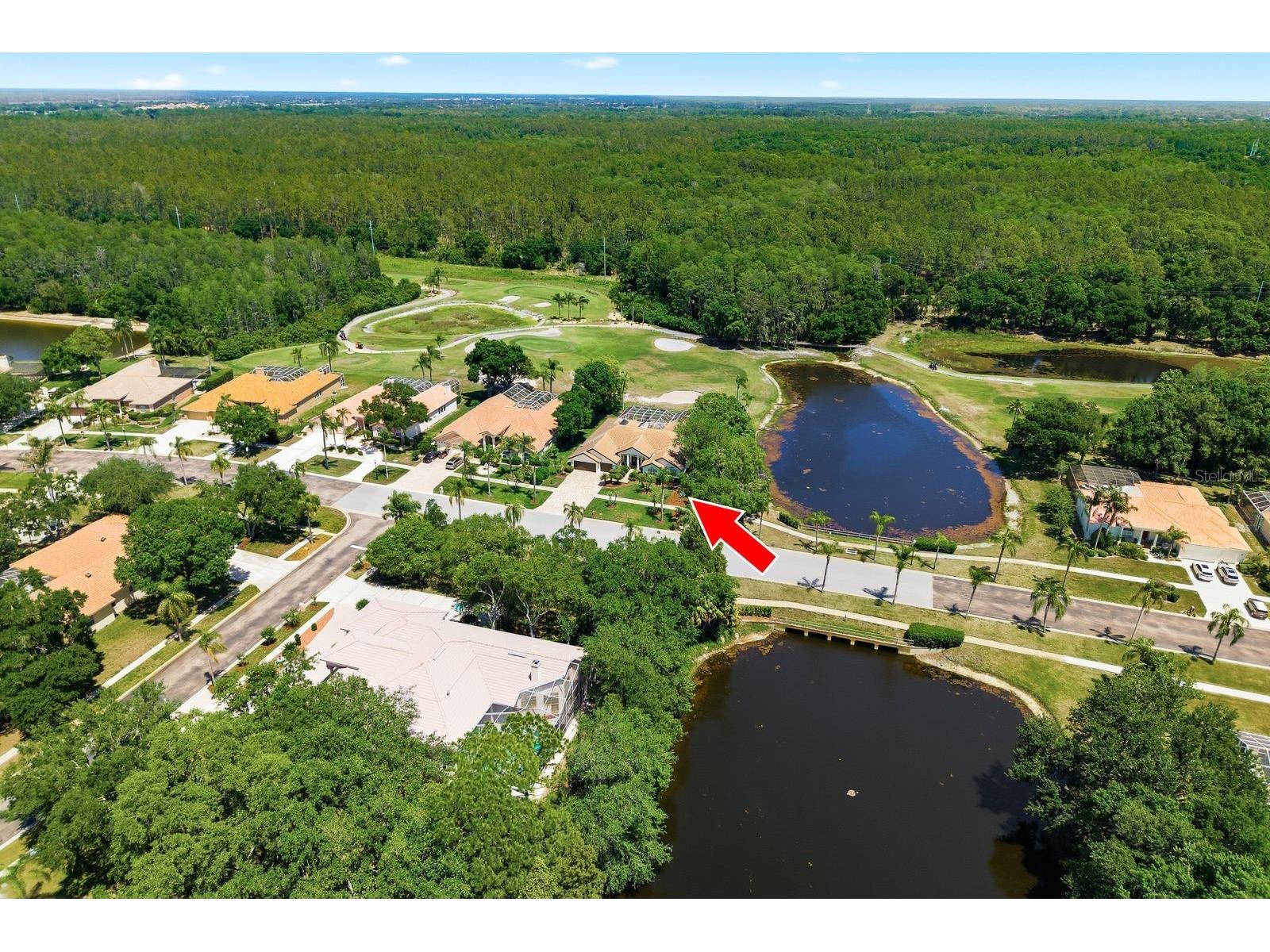 3343 Crescent Oaks Boulevard Tarpon Springs FL 34688 TB8498693 image72