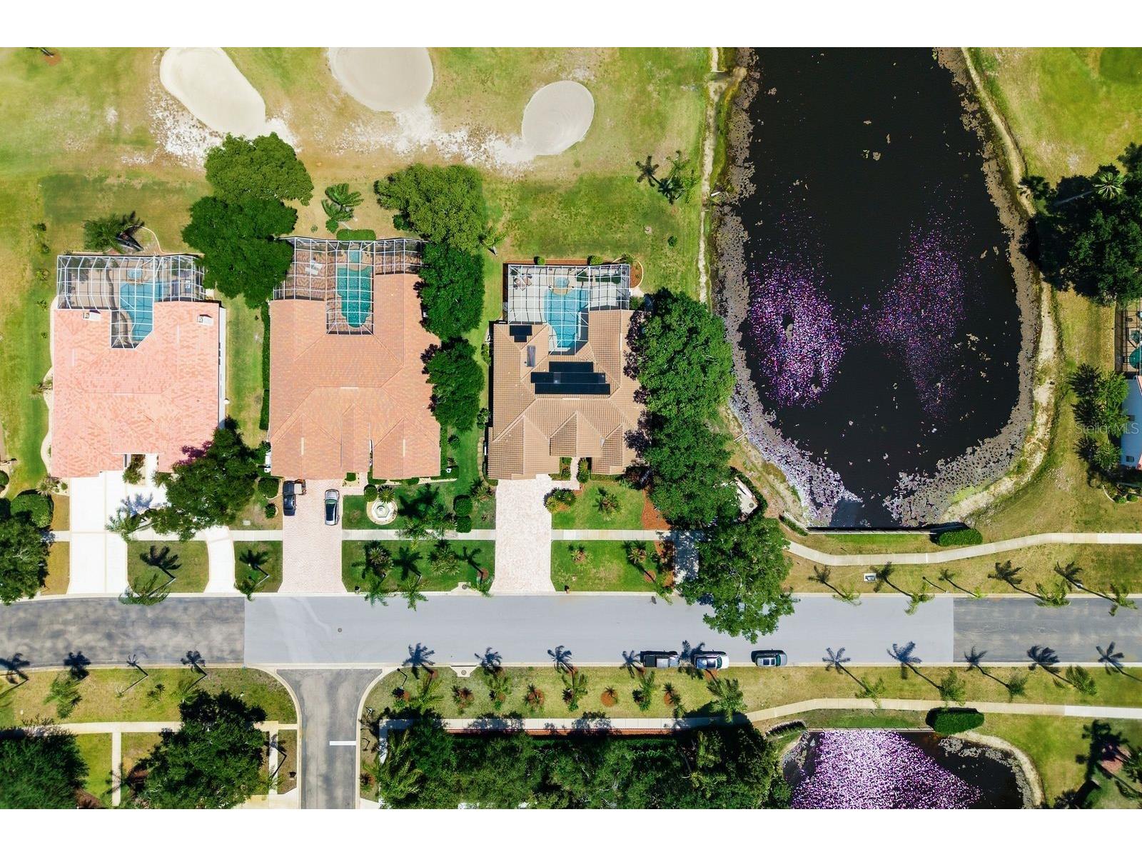 3343 Crescent Oaks Boulevard Tarpon Springs FL 34688 TB8498693 image73