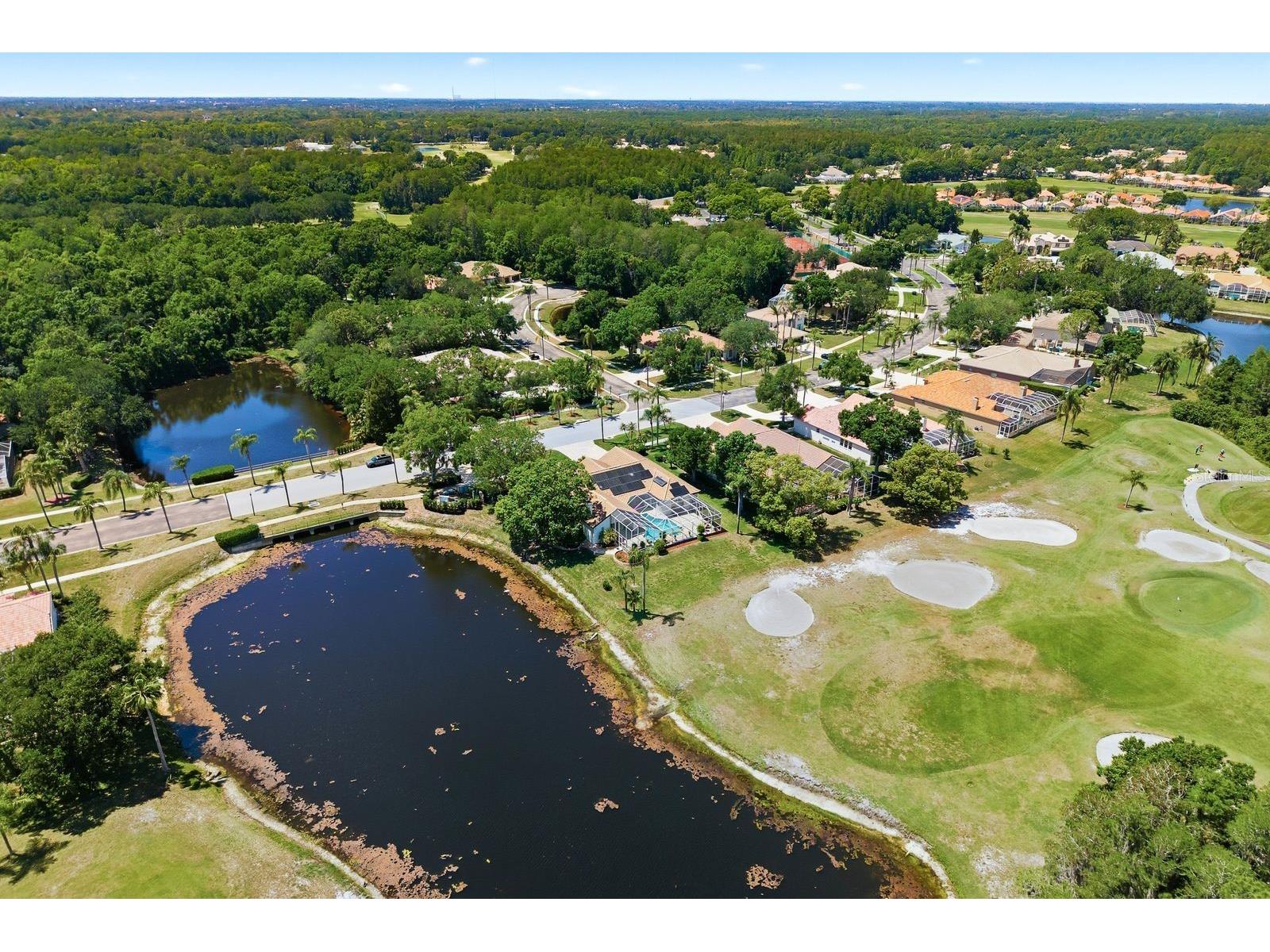 3343 Crescent Oaks Boulevard Tarpon Springs FL 34688 TB8498693 image75
