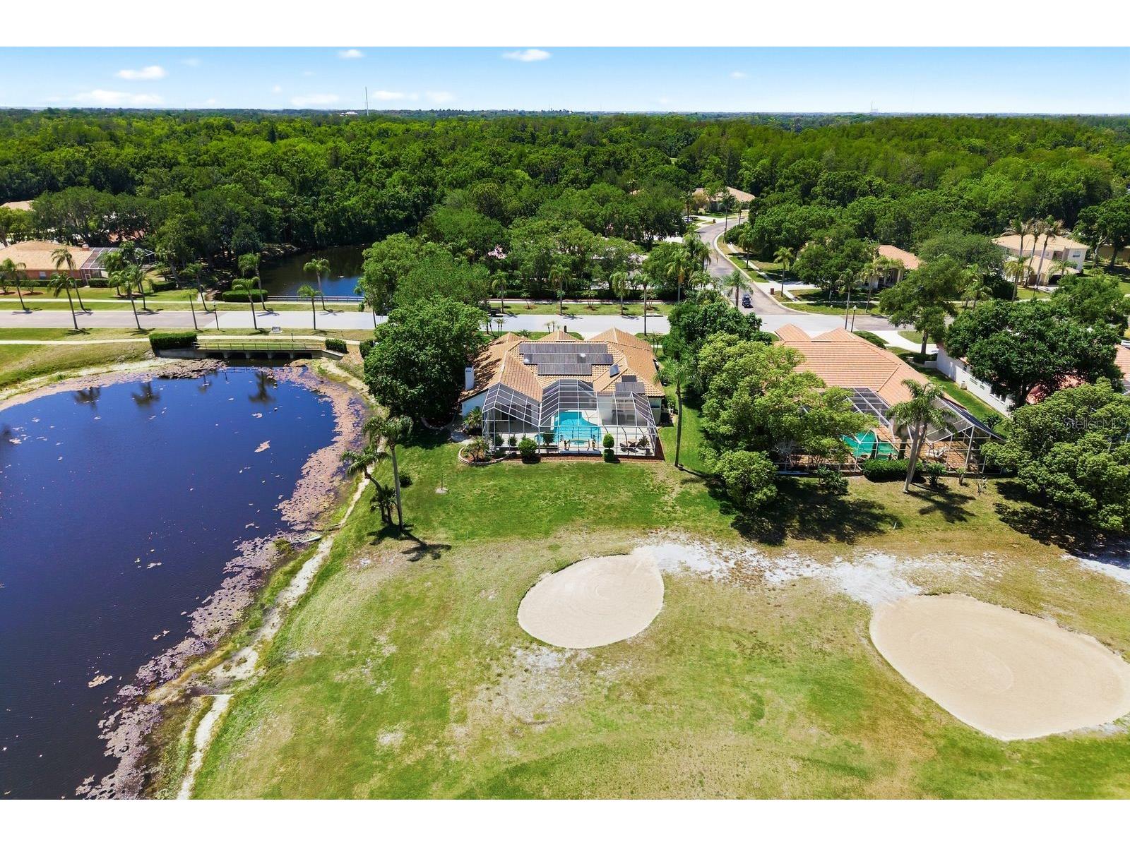 3343 Crescent Oaks Boulevard Tarpon Springs FL 34688 TB8498693 image76