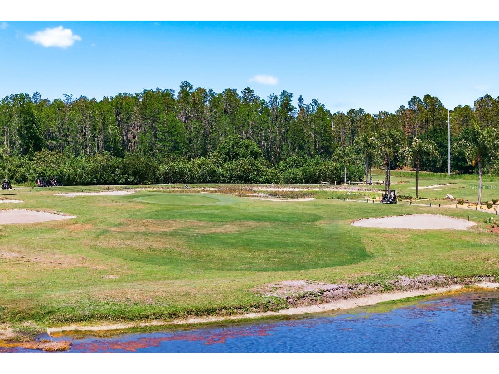3343 Crescent Oaks Boulevard Tarpon Springs FL 34688 TB8498693 image79