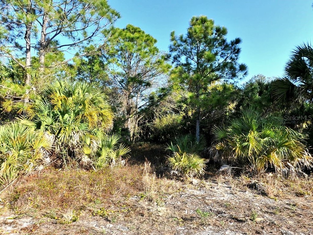 3343 Vineyard Circle North Port FL 34288 A4659340 image2