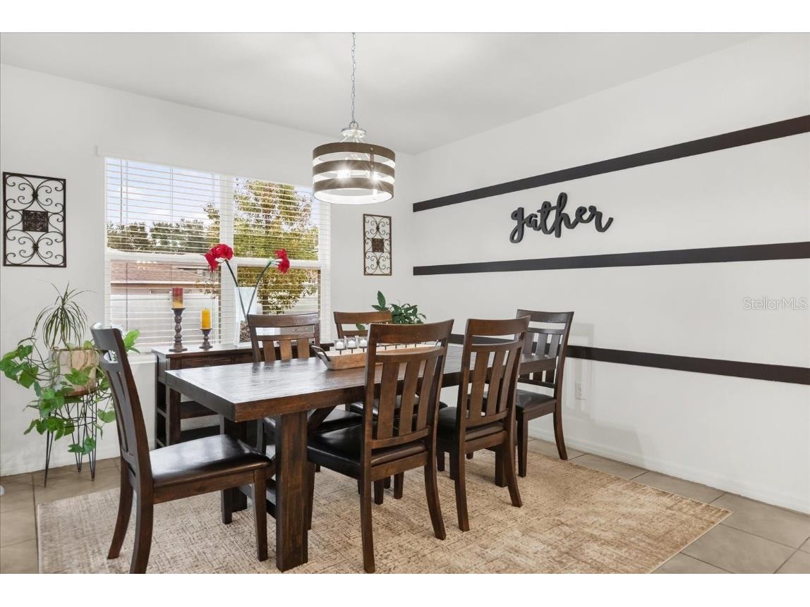 3343 Wolf Run Road Mount Dora FL 32757 G5104913 image11