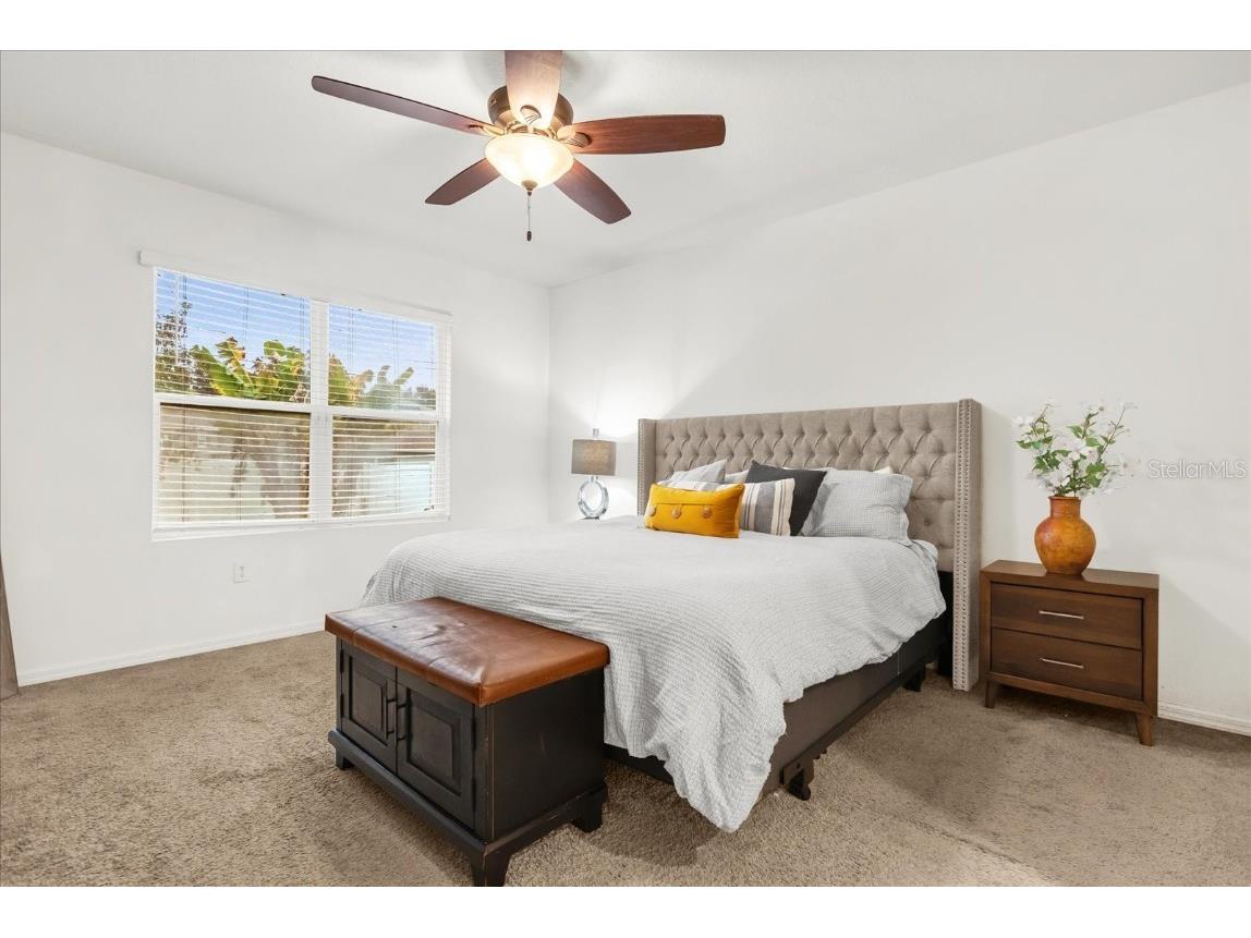 3343 Wolf Run Road Mount Dora FL 32757 G5104913 image18