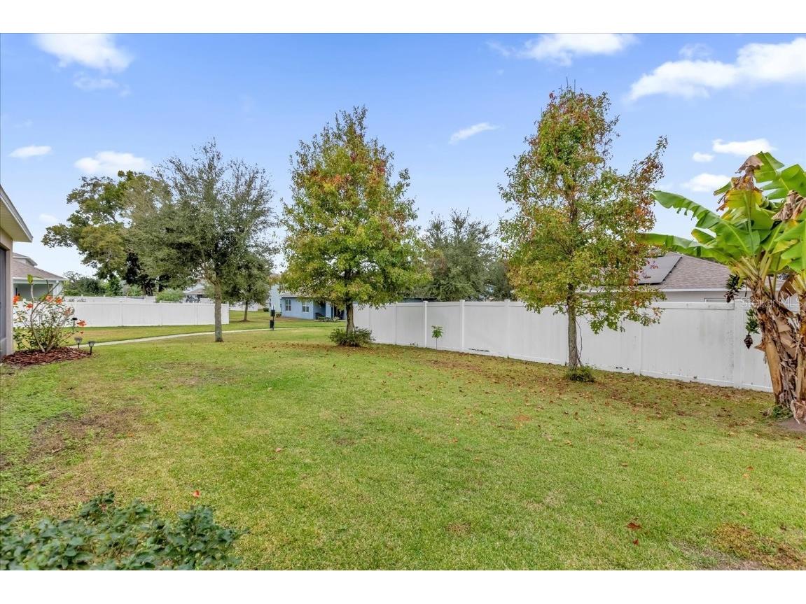 3343 Wolf Run Road Mount Dora FL 32757 G5104913 image25
