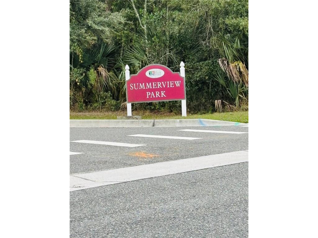 3343 Wolf Run Road Mount Dora FL 32757 G5104913 image36