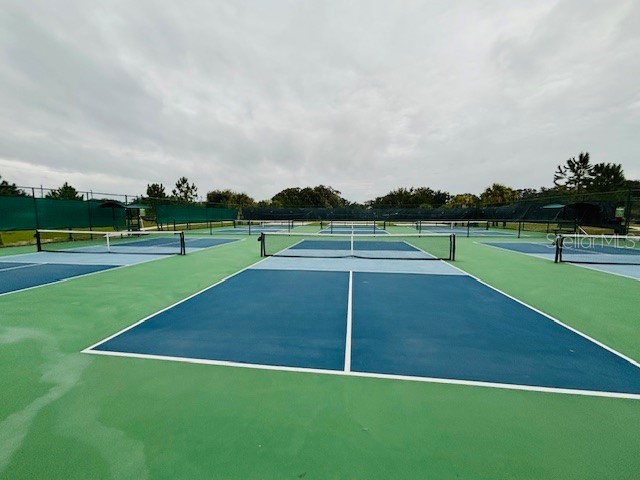 3343 Wolf Run Road Mount Dora FL 32757 G5104913 image38