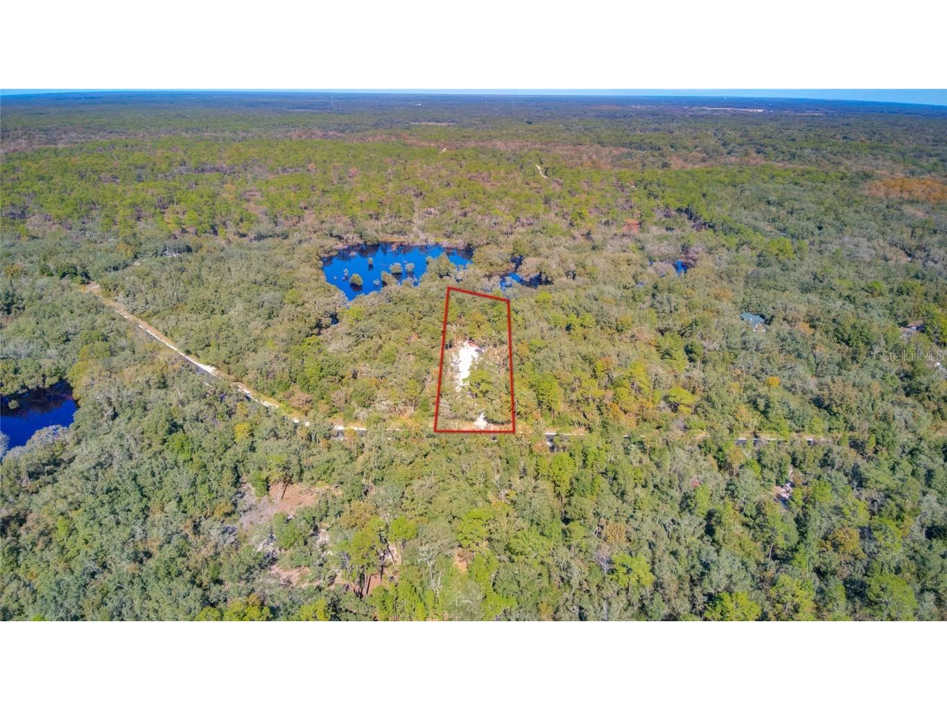 33431 Tombstone Street Webster FL 33597 O6259850 image1