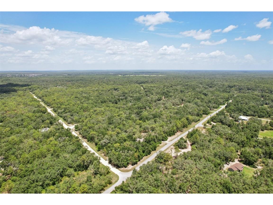 33433 Loop Court Webster FL 33597 TB8405444 image59