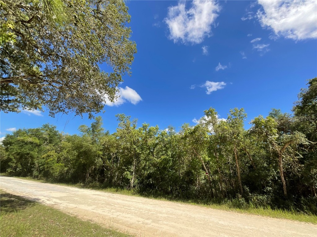 33436 Tombstone Street Webster FL 33597 G5069874 image1