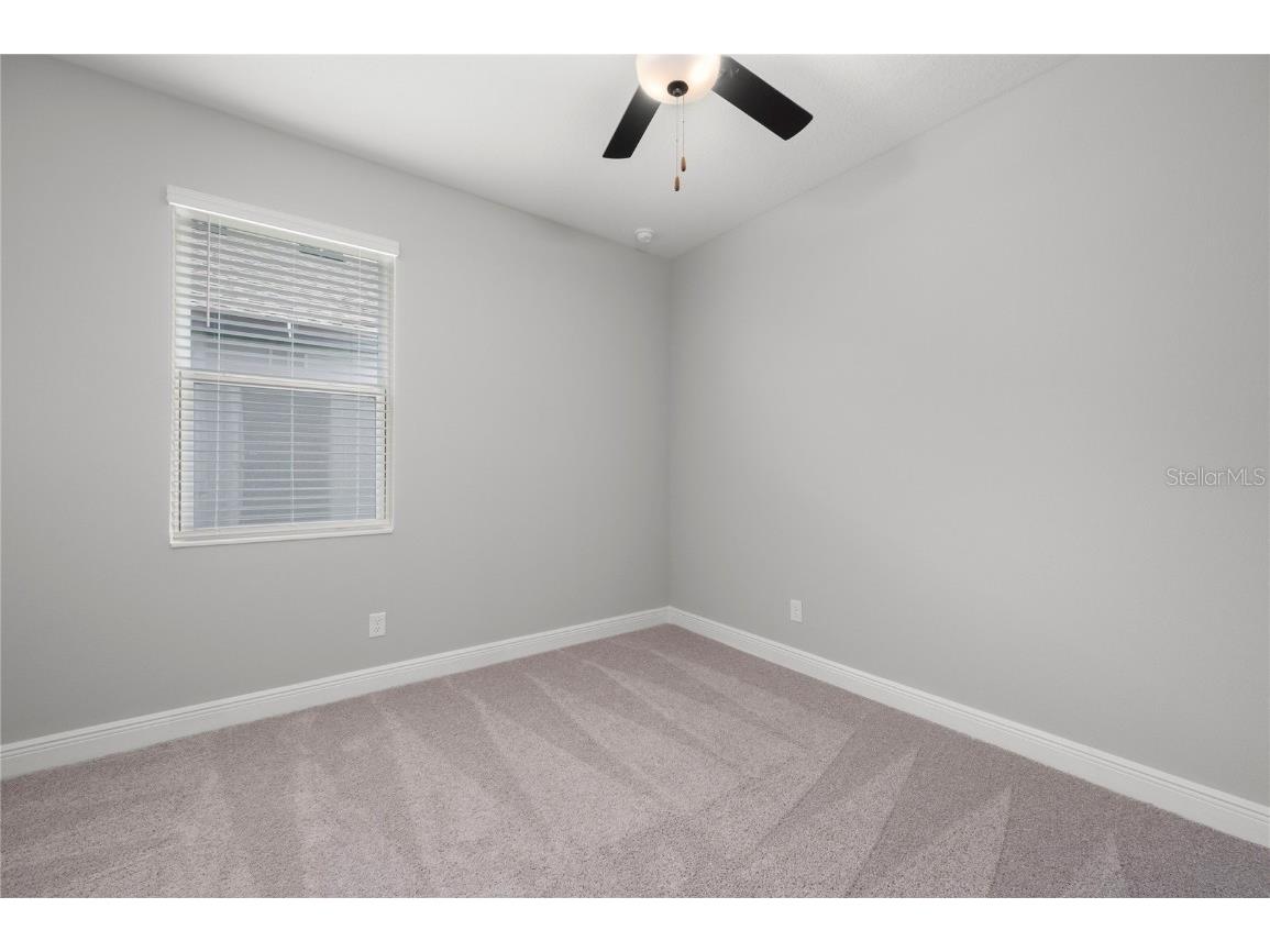 3344 Chinotto Drive Lake Alfred FL 33850 - GUM LAKE TB8431544 image24