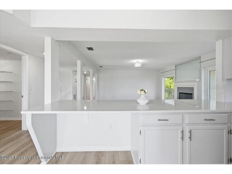 3344 Gardenia Drive Hernando Beach FL 34607 W7878534 image4