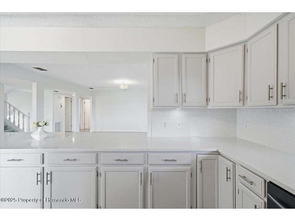 3344 Gardenia Drive Hernando Beach FL 34607 W7878534 image7