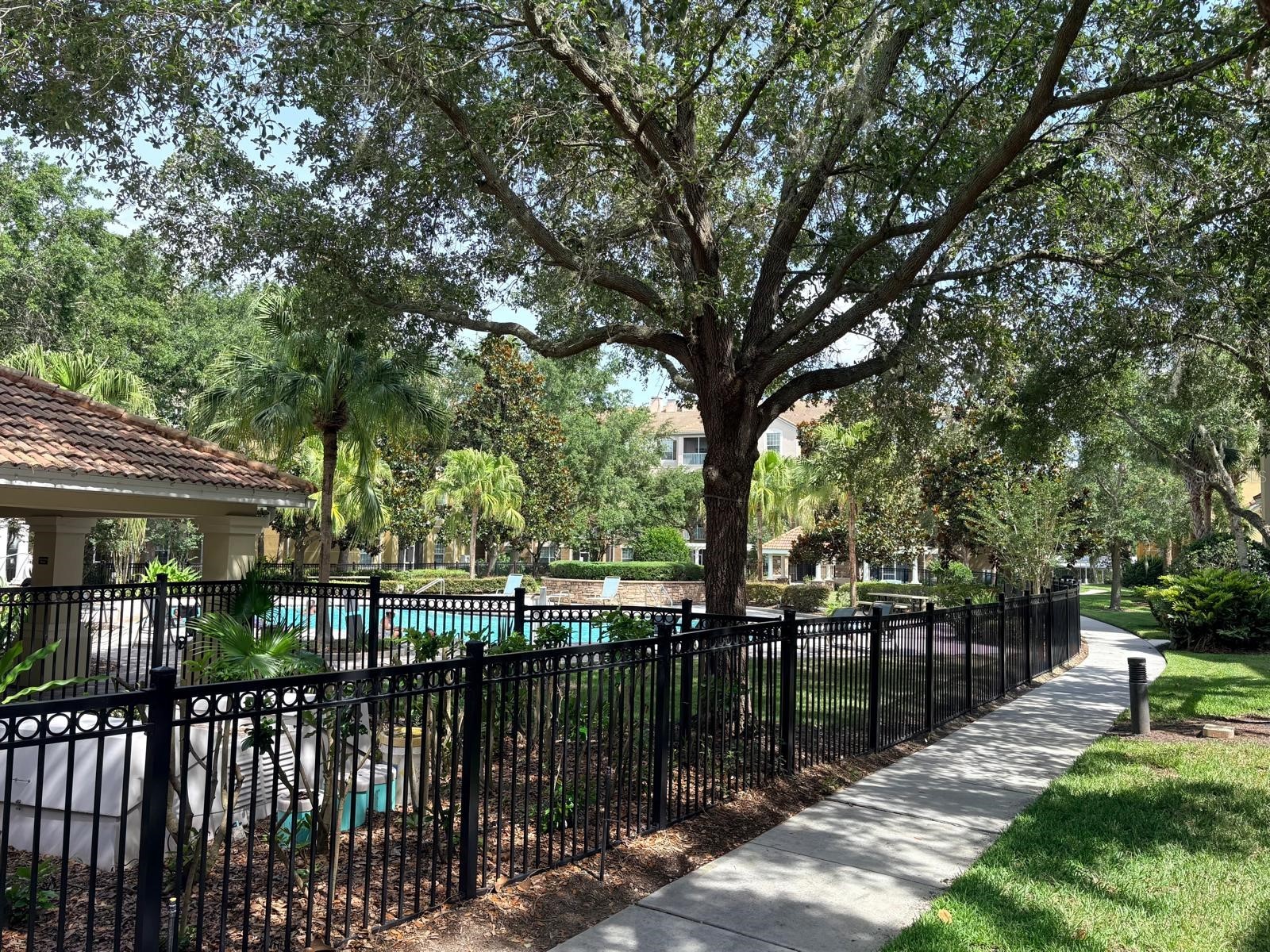 3344 Robert Trent Jones Drive #10305 Orlando FL 32835 TB8513438 image6