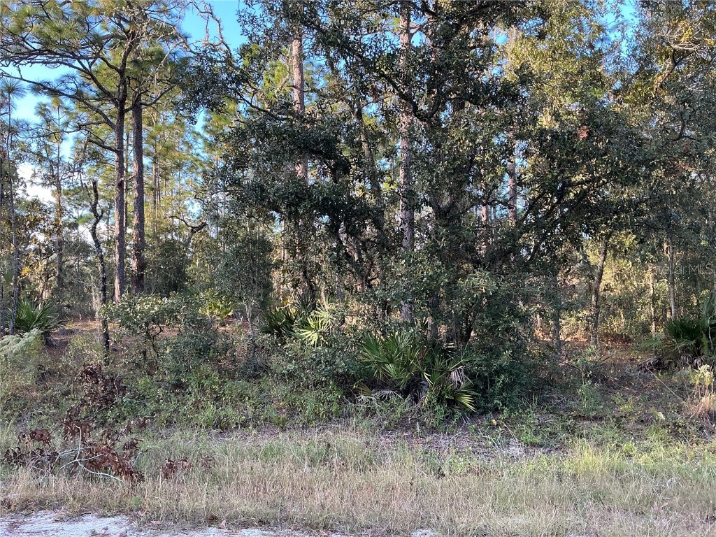 33441 Solway Drive Webster FL 33597 OM689168 image1