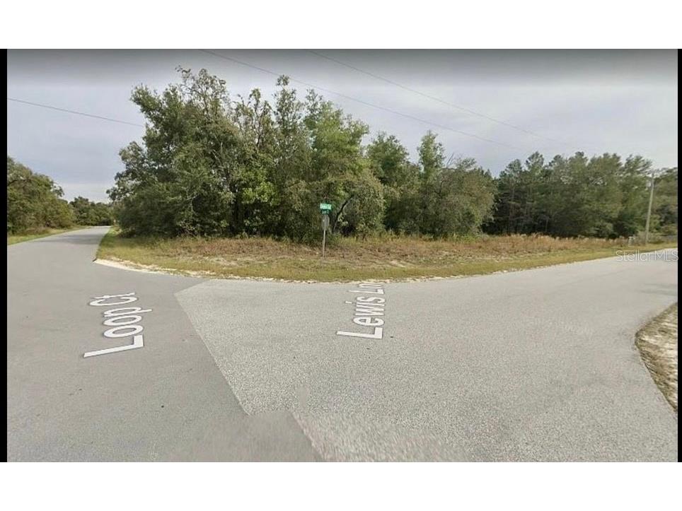 33443 Lewis Lane Webster FL 33597 O6081897 image1