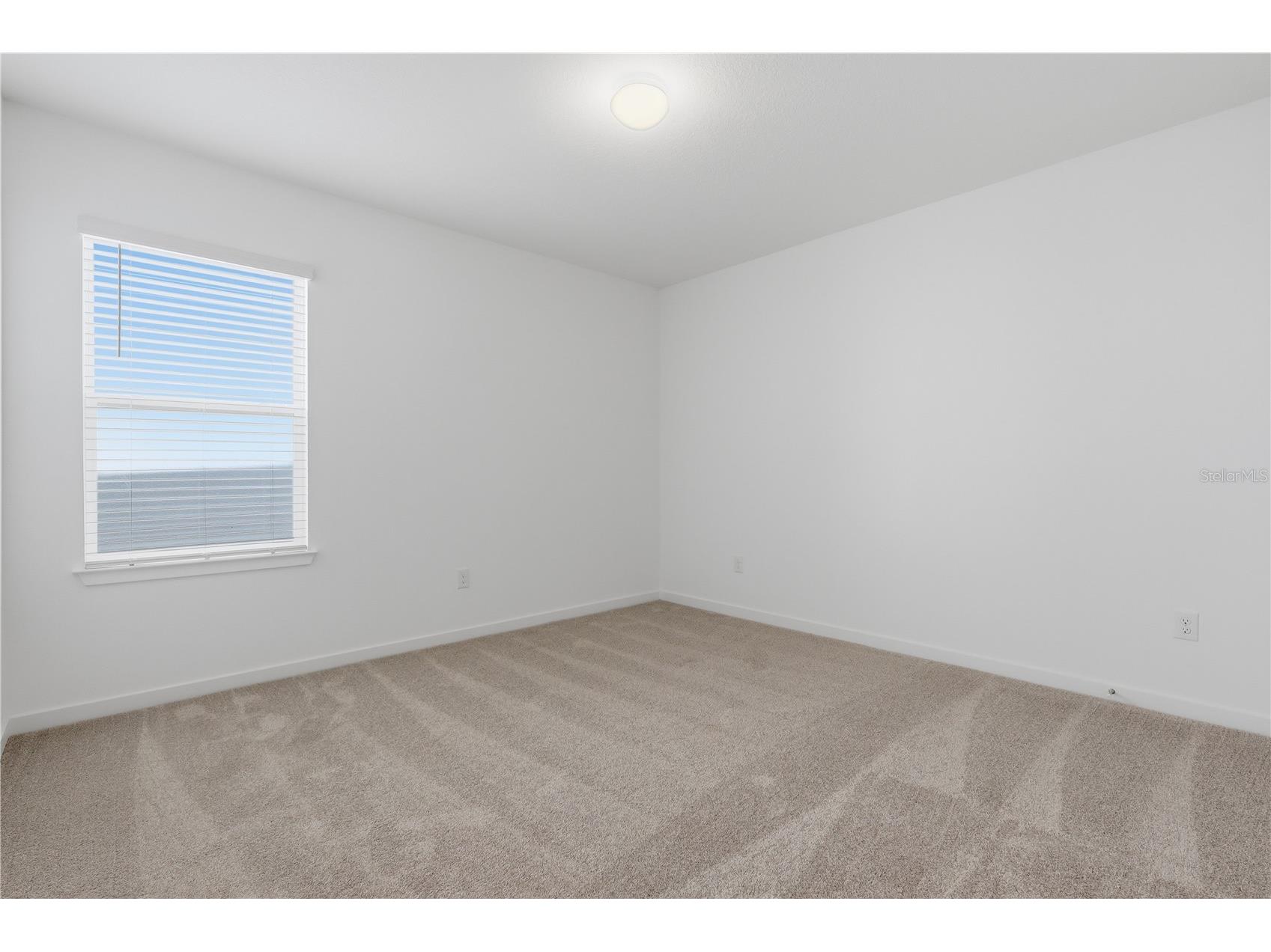 33444 Binding Ties Lane Wesley Chapel FL 33545 TB8502887 image11