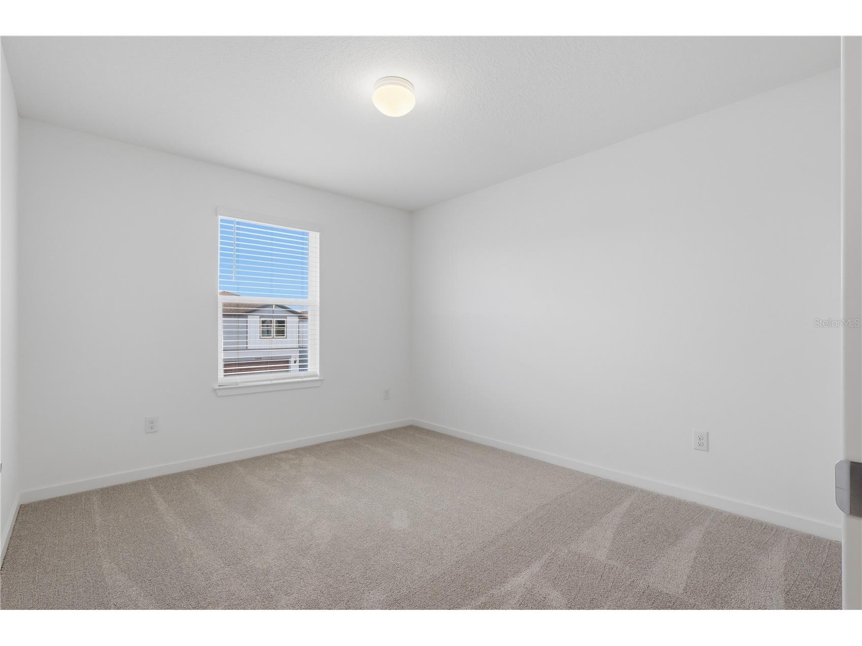 33444 Binding Ties Lane Wesley Chapel FL 33545 TB8502887 image15