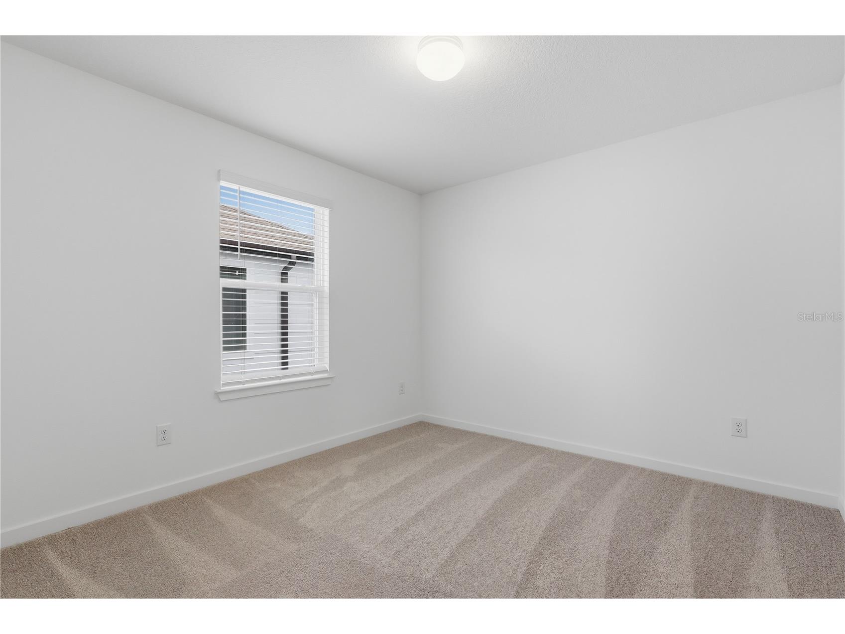 33444 Binding Ties Lane Wesley Chapel FL 33545 TB8502887 image16
