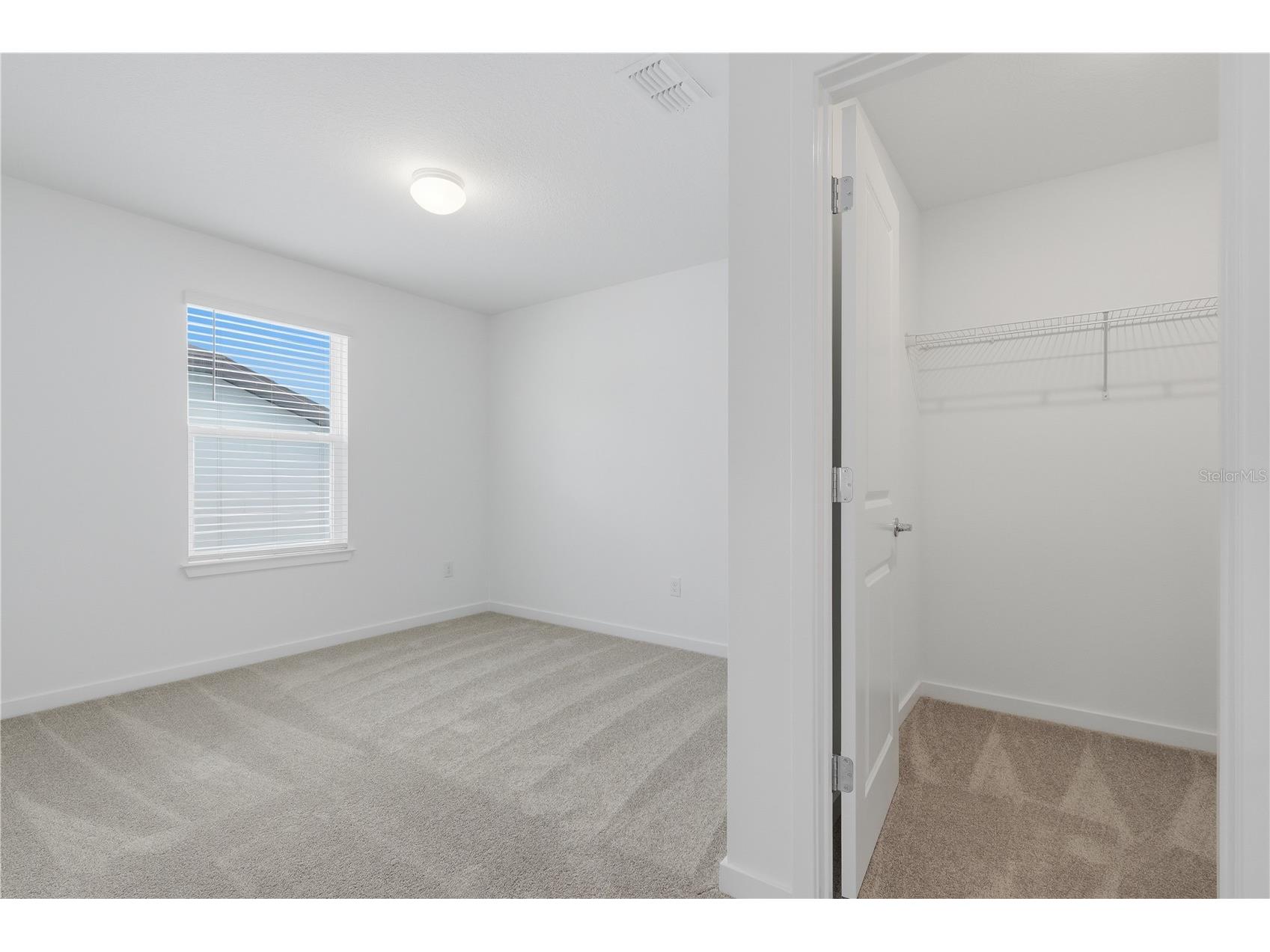 33444 Binding Ties Lane Wesley Chapel FL 33545 TB8502887 image18