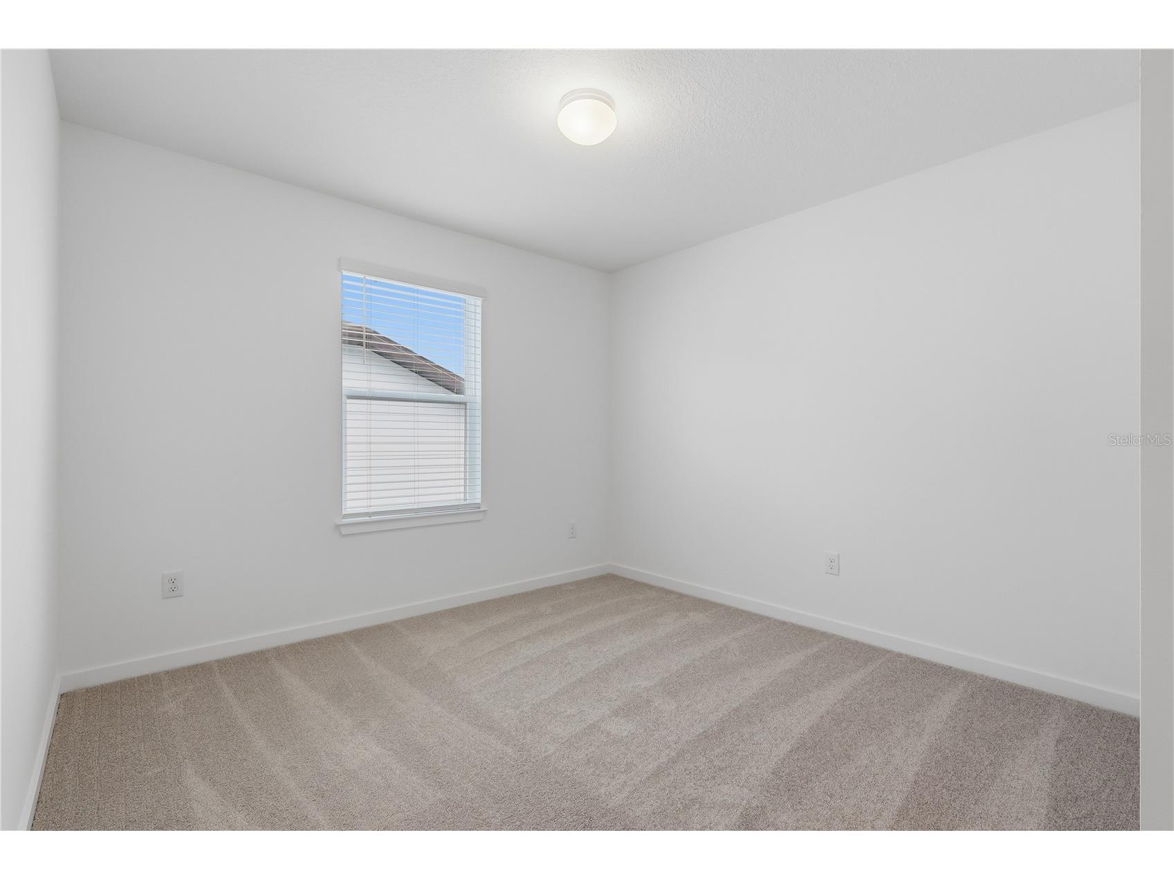 33444 Binding Ties Lane Wesley Chapel FL 33545 TB8502887 image19