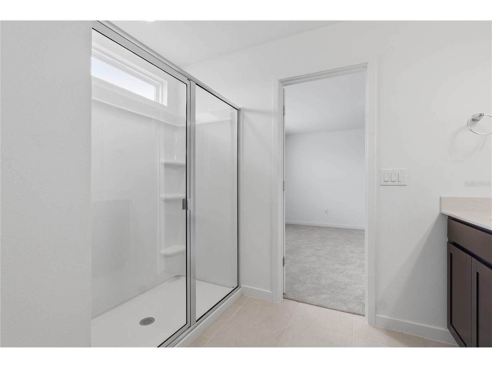 33444 Binding Ties Lane Wesley Chapel FL 33545 TB8502887 image23