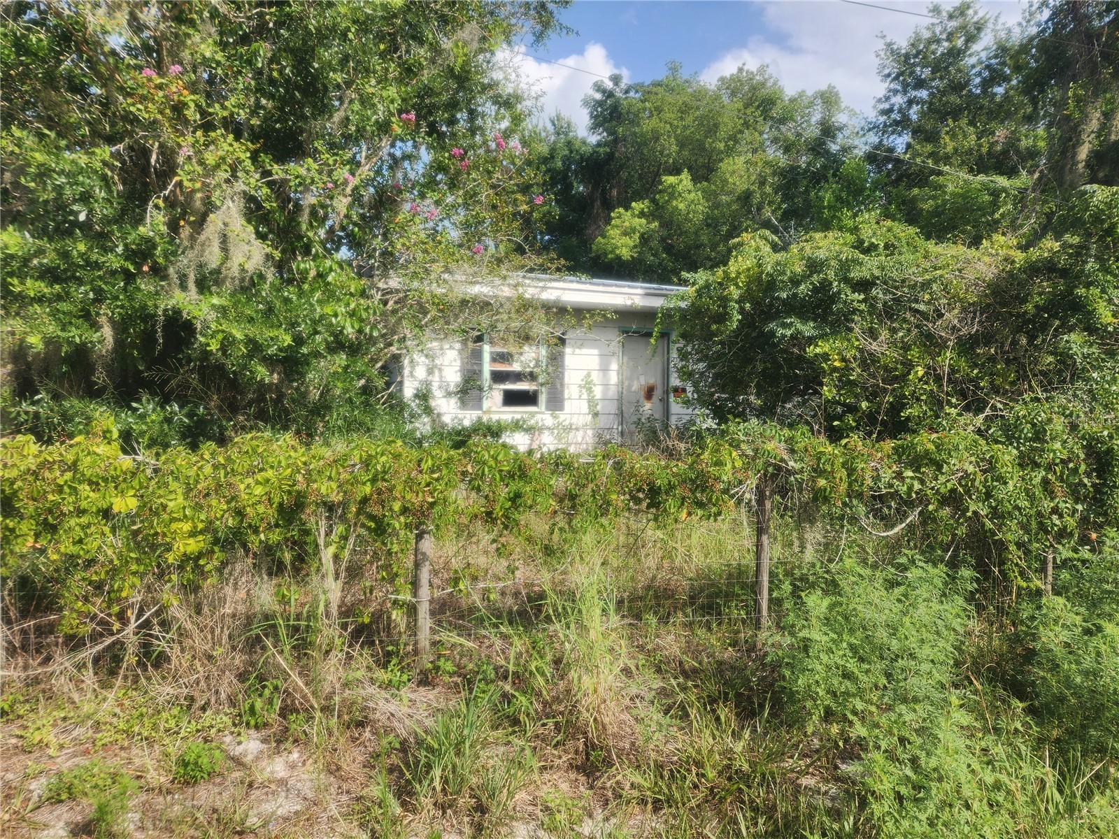 33444 Coronado Road Leesburg FL 34788 O6424804 image3