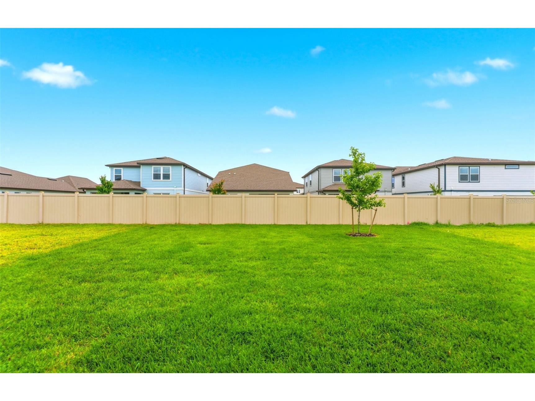 33449 Binding Ties Lane Wesley Chapel FL 33545 TB8491061 image32