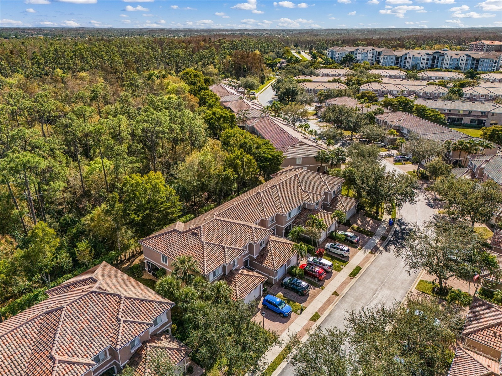 3345 Antica Street Fort Myers FL 33905 C7519958 image32