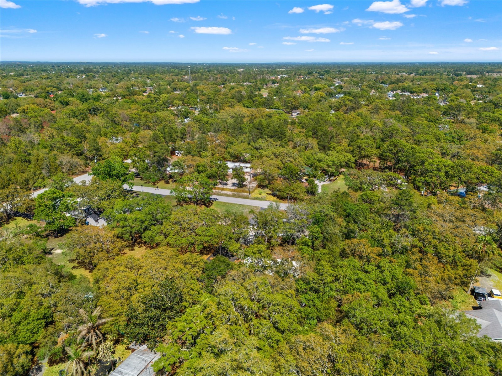 3345 Ballard Street Spring Hill FL 34606 W7884574 image25