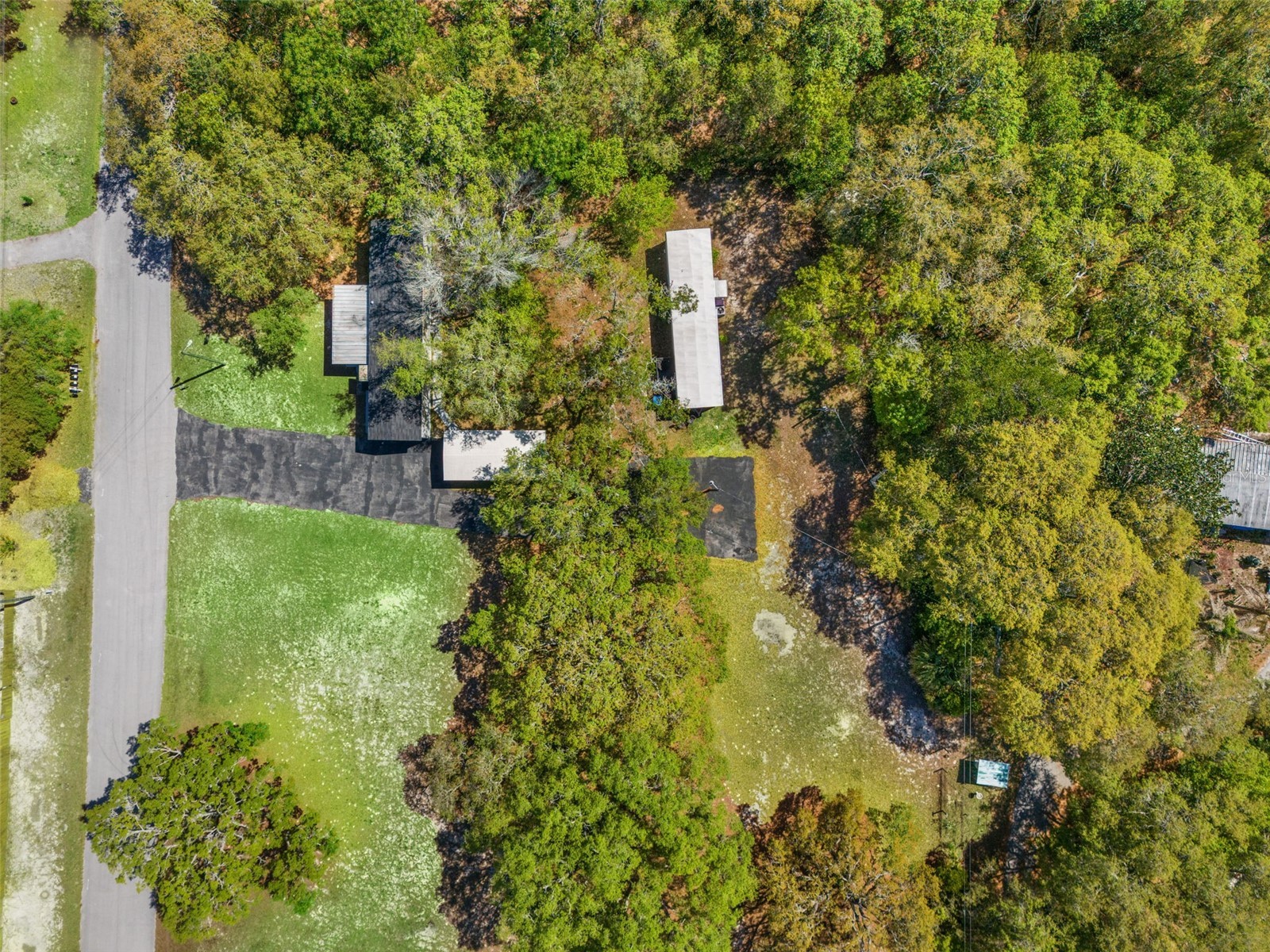 3345 Ballard Street Spring Hill FL 34606 W7884574 image27