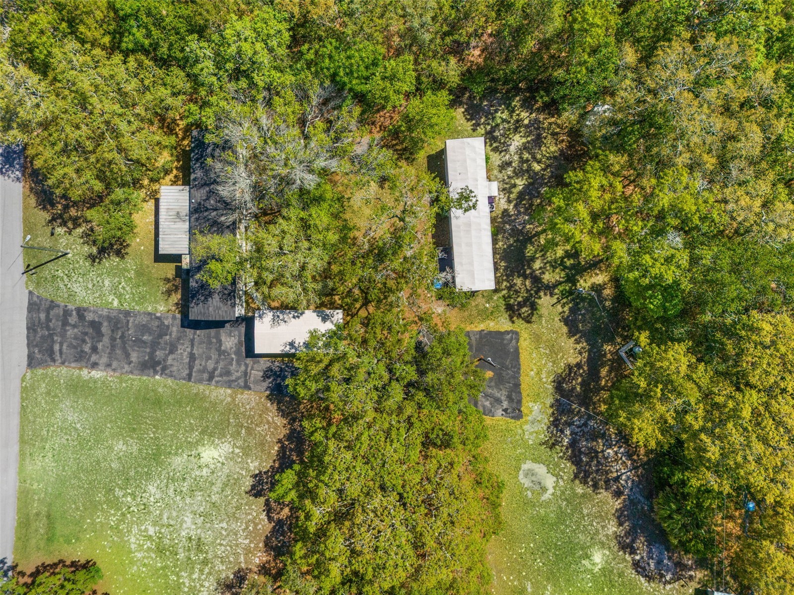 3345 Ballard Street Spring Hill FL 34606 W7884574 image28