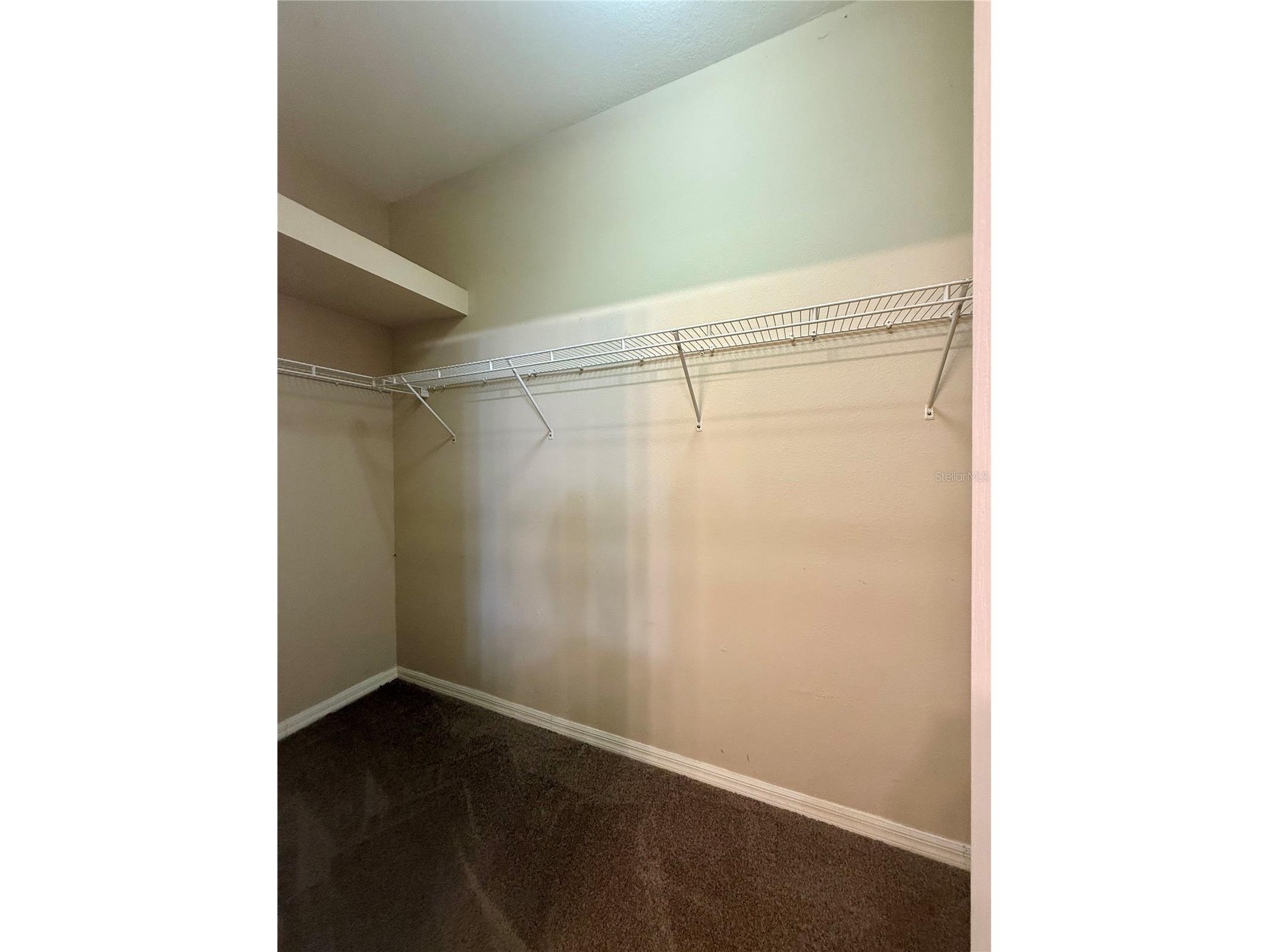 3345 Chapel Creek Circle Wesley Chapel FL 33544 TB8529560 image11