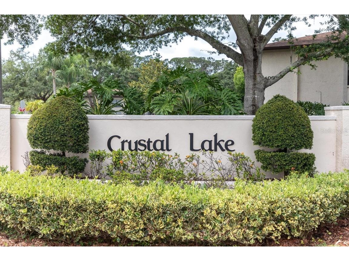 3345 Crystal Court E #B Palm Harbor FL 34685 T3448655 image1