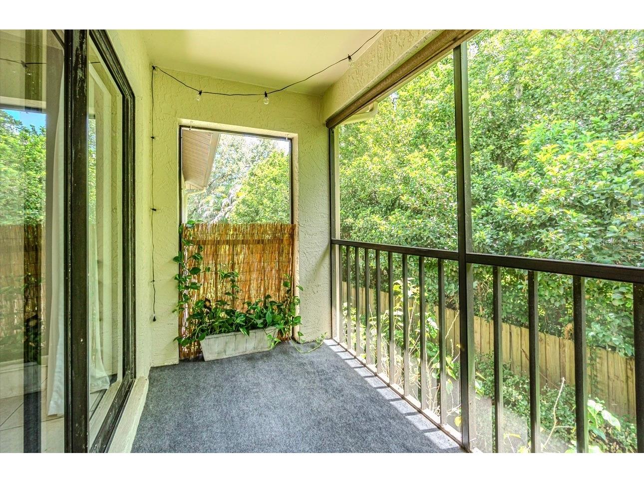 3345 Crystal Court E #H Palm Harbor FL 34685 TB8532418 image17