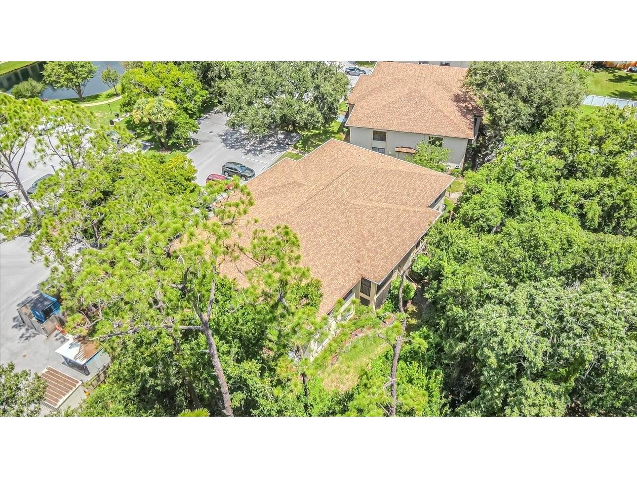 3345 Crystal Court E #H Palm Harbor FL 34685 TB8532418 image2