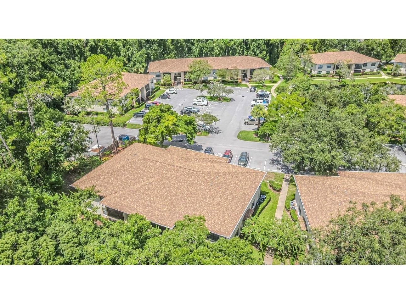3345 Crystal Court E #H Palm Harbor FL 34685 TB8532418 image3