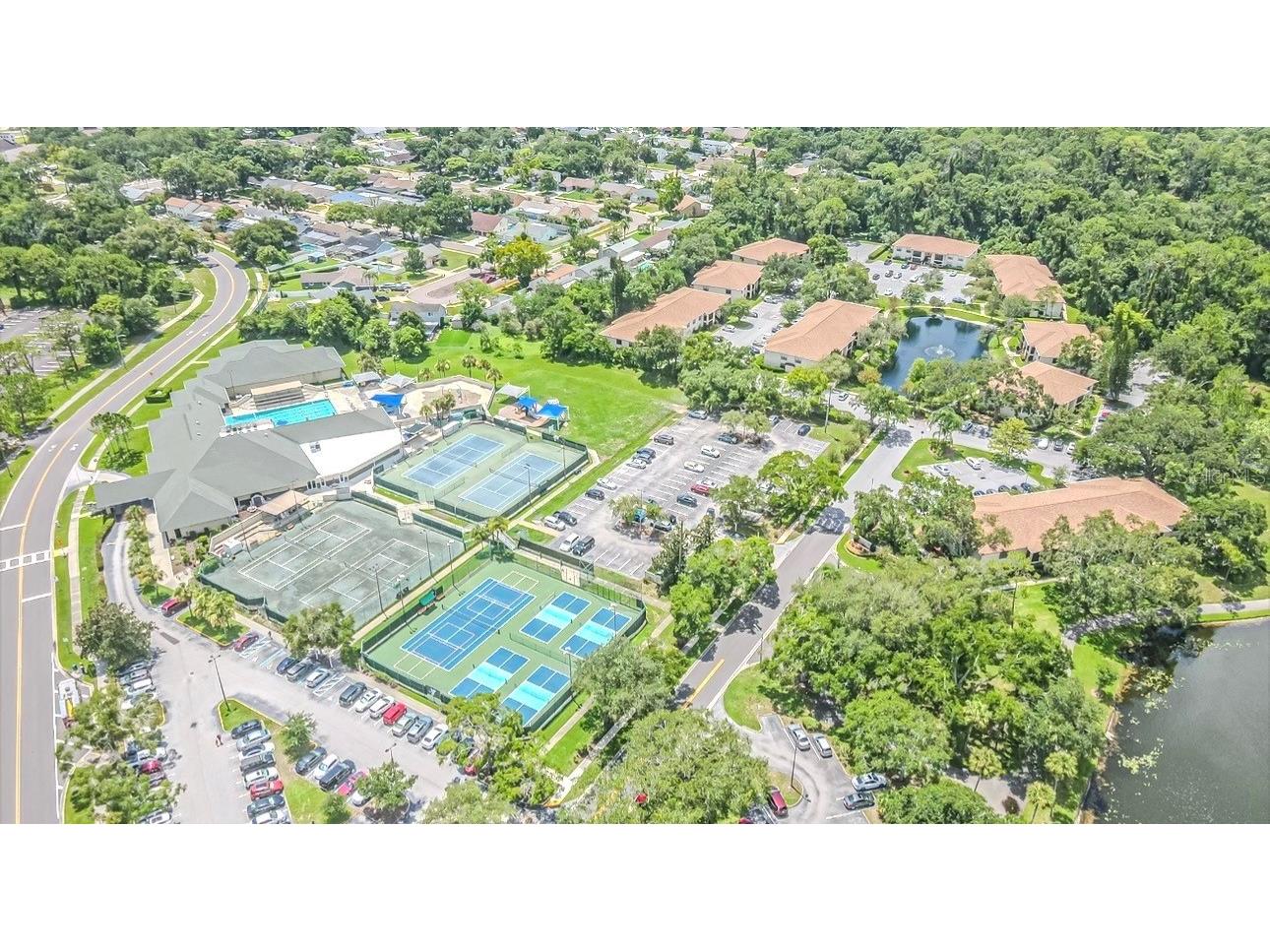 3345 Crystal Court E #H Palm Harbor FL 34685 TB8532418 image4