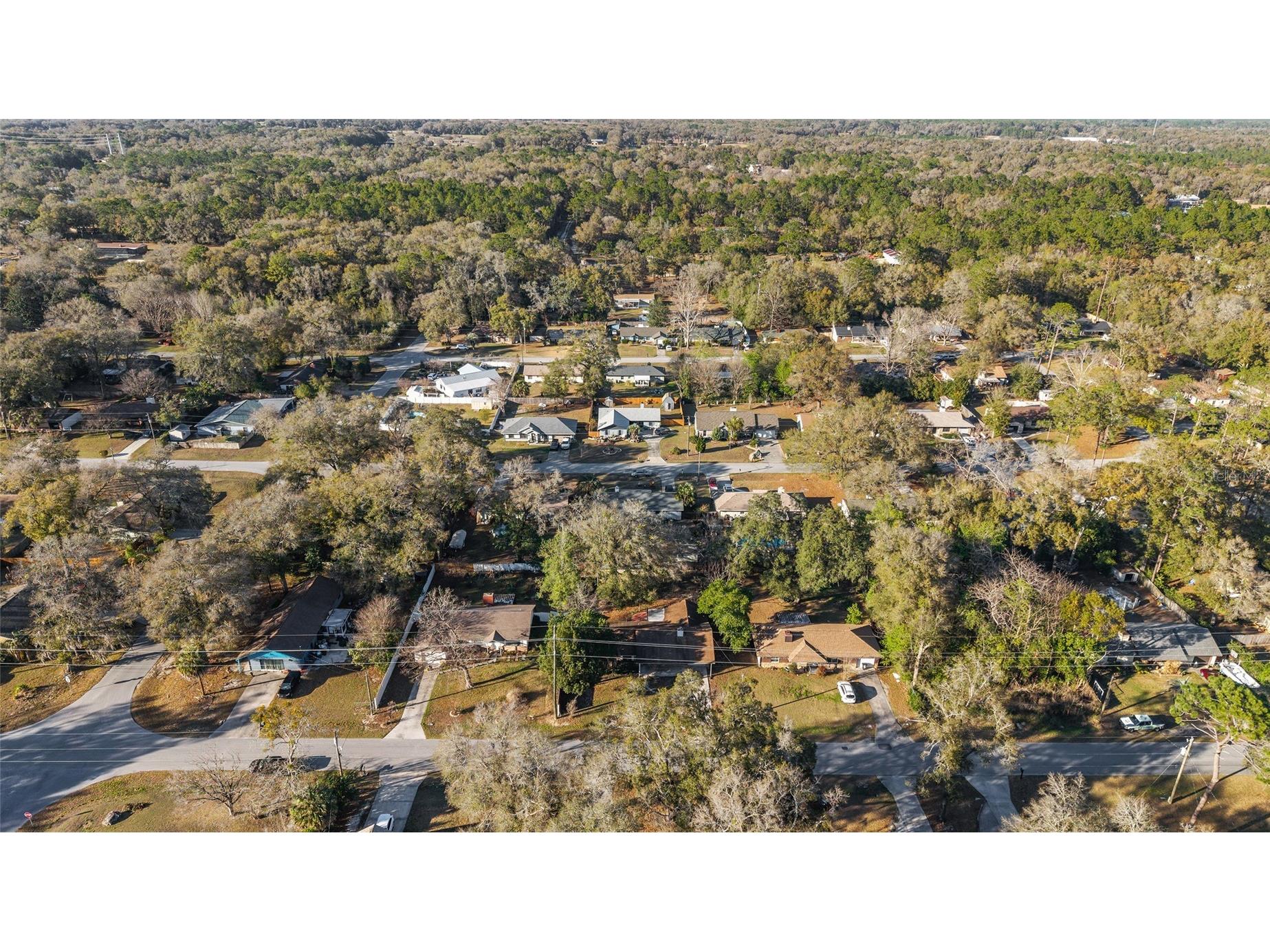 3345 NE 43rd Place Ocala FL 34479 OM722741 image55